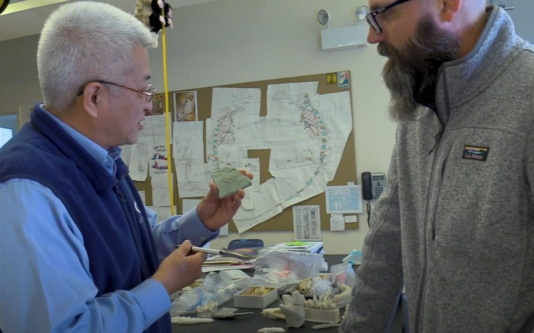 Dr. Zhe-Xi Luo and Senior Communications Writer Matt Wood standing in lab discussing a small fossil cast, which Dr. Luo is holding